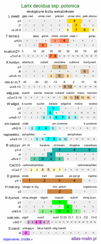 ekologiczne liczby wskaźnikowe Larix decidua ssp. polonica (modrzew europejski polski)