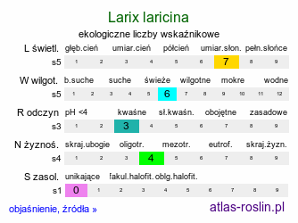 ekologiczne liczby wskaźnikowe Larix laricina (modrzew amerykański)