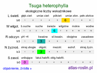 ekologiczne liczby wskaźnikowe Tsuga heterophylla (choina zachodnia)