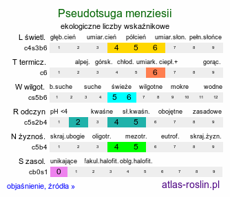 ekologiczne liczby wskaźnikowe Pseudotsuga menziesii (daglezja zielona)