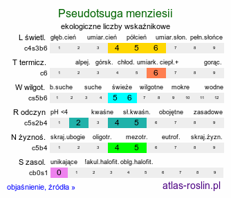 ekologiczne liczby wskaźnikowe Pseudotsuga menziesii (daglezja zielona)