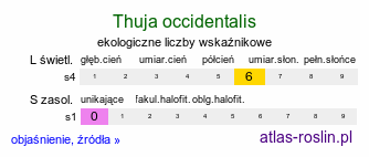 ekologiczne liczby wskaźnikowe Thuja occidentalis (żywotnik zachodni)