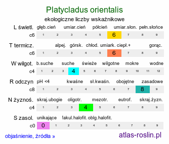 ekologiczne liczby wskaźnikowe Platycladus orientalis (biota wschodnia)