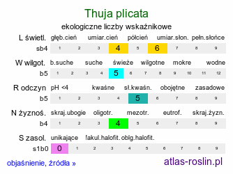 ekologiczne liczby wskaźnikowe Thuja plicata (żywotnik olbrzymi)