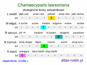 ekologiczne liczby wskaźnikowe Chamaecyparis lawsoniana (cyprysik Lawsona)