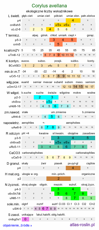 ekologiczne liczby wskaźnikowe Corylus avellana (leszczyna pospolita)