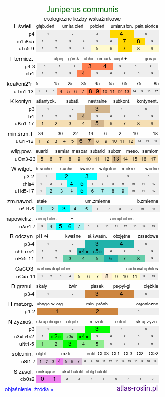 ekologiczne liczby wskaźnikowe Juniperus communis (jałowiec pospolity)