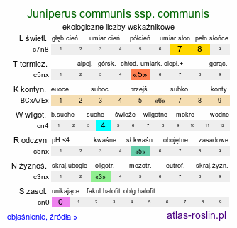 ekologiczne liczby wskaźnikowe Juniperus communis ssp. communis (jałowiec pospolity typowy)