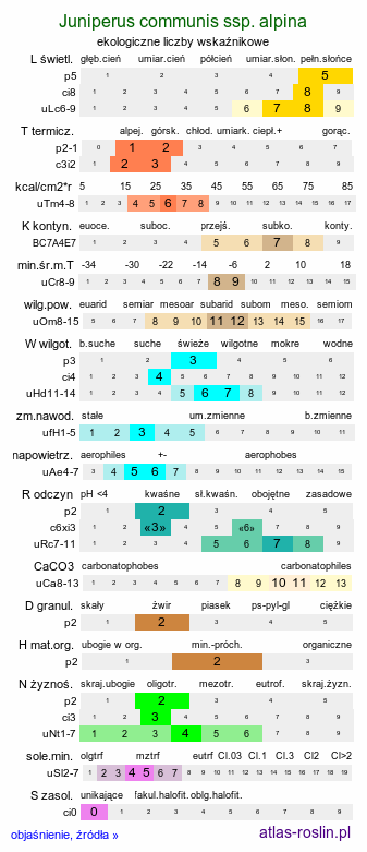 ekologiczne liczby wskaźnikowe Juniperus communis ssp. alpina (jałowiec pospolity halny)