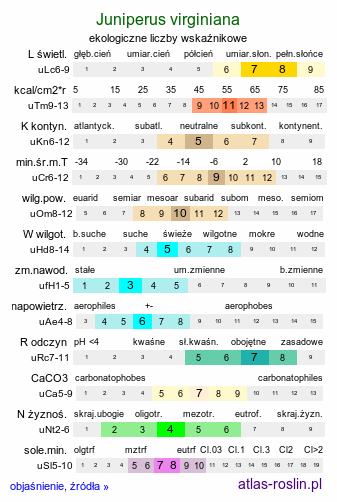 ekologiczne liczby wskaźnikowe Juniperus virginiana (jałowiec wirginijski)
