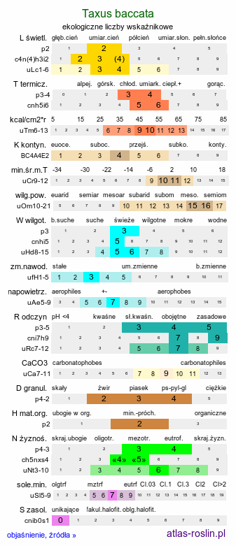 ekologiczne liczby wskaźnikowe Taxus baccata (cis pospolity)