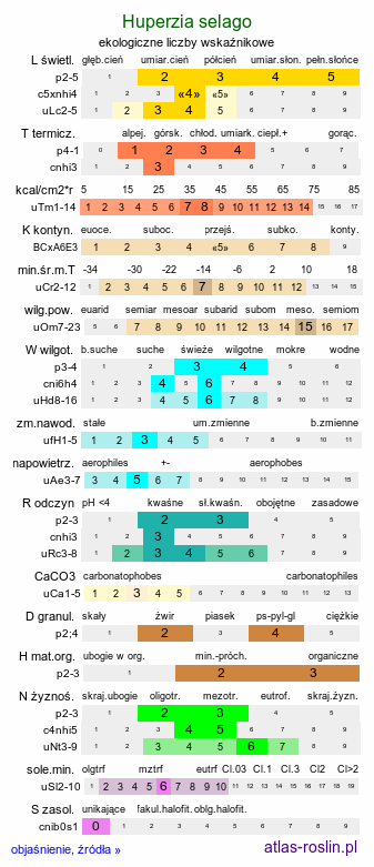 ekologiczne liczby wskaźnikowe Huperzia selago (wroniec widlasty)