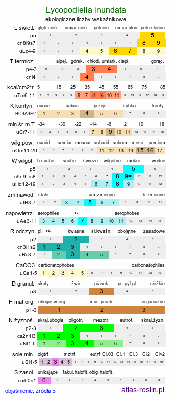 ekologiczne liczby wskaźnikowe Lycopodiella inundata (widłaczek torfowy)