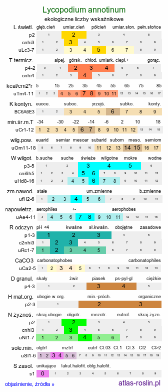 ekologiczne liczby wskaźnikowe Lycopodium annotinum (widłak jałowcowaty)