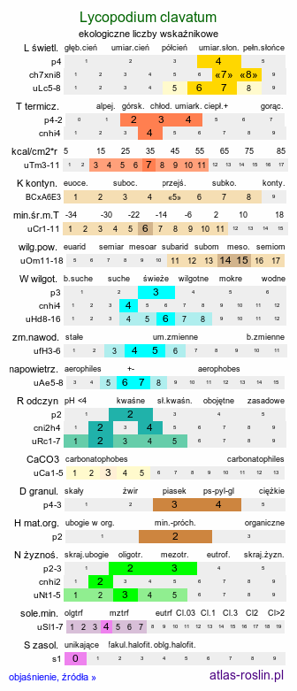 ekologiczne liczby wskaźnikowe Lycopodium clavatum (widłak goździsty)