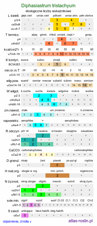 ekologiczne liczby wskaźnikowe Diphasiastrum tristachyum (widlicz cyprysowy)
