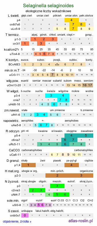 ekologiczne liczby wskaźnikowe Selaginella selaginoides (widliczka ostrozębna)