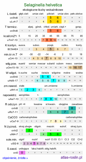 ekologiczne liczby wskaźnikowe Selaginella helvetica (widliczka szwajcarska)