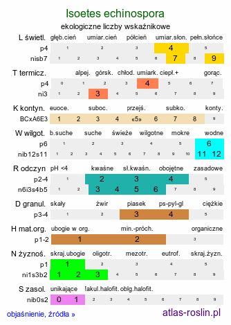 ekologiczne liczby wskaźnikowe Isoetes echinospora (poryblin kolczasty)