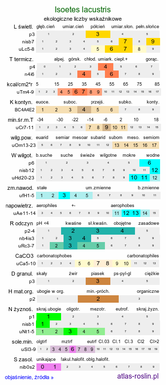 ekologiczne liczby wskaźnikowe Isoetes lacustris (poryblin jeziorny)