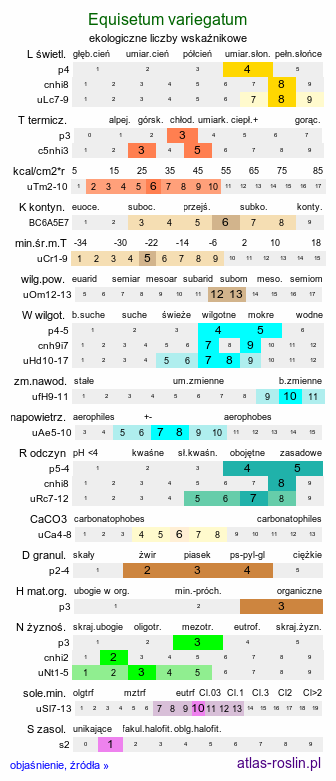 ekologiczne liczby wskaźnikowe Equisetum variegatum (skrzyp pstry)
