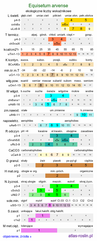 ekologiczne liczby wskaźnikowe Equisetum arvense (skrzyp polny)