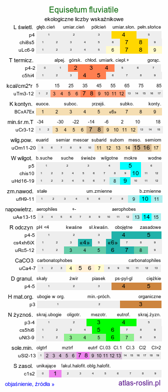 ekologiczne liczby wskaźnikowe Equisetum fluviatile (skrzyp bagienny)