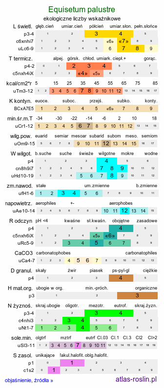 ekologiczne liczby wskaźnikowe Equisetum palustre (skrzyp błotny)