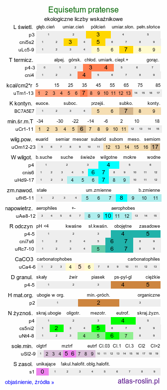 ekologiczne liczby wskaźnikowe Equisetum pratense (skrzyp łąkowy)