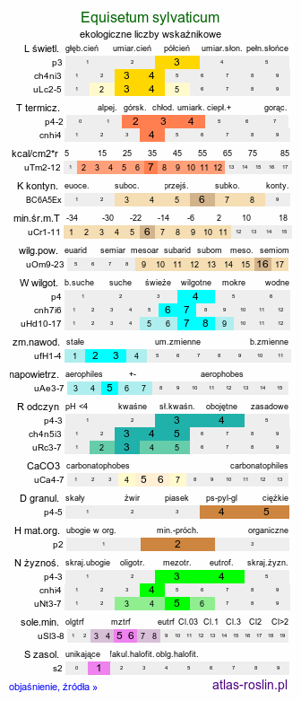 ekologiczne liczby wskaźnikowe Equisetum sylvaticum (skrzyp leśny)