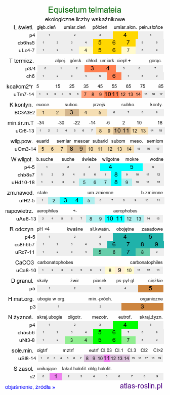 ekologiczne liczby wskaźnikowe Equisetum telmateia (skrzyp olbrzymi)