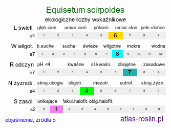 ekologiczne liczby wskaźnikowe Equisetum scirpoides (skrzyp arktyczny)