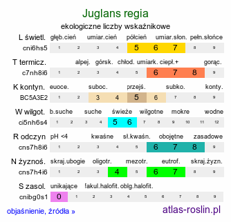 ekologiczne liczby wskaźnikowe Juglans regia (orzech włoski)