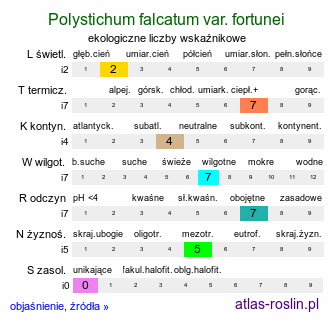 ekologiczne liczby wskaźnikowe Polystichum falcatum var. fortunei (paprotnik sierpowaty odm. Fortune'a)