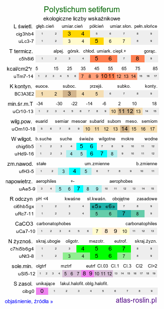 ekologiczne liczby wskaźnikowe Polystichum setiferum (paprotnik szczecinkozębny)