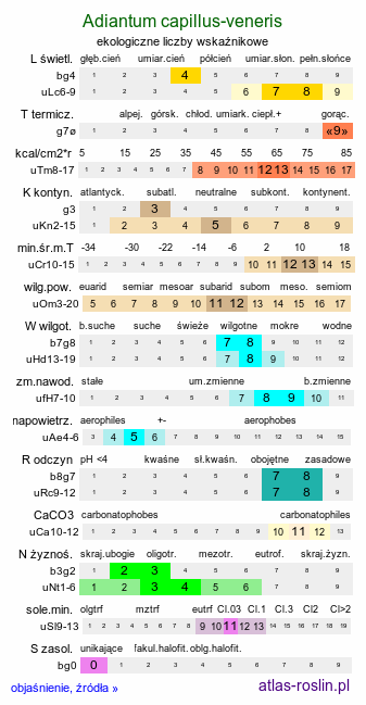 ekologiczne liczby wskaźnikowe Adiantum capillus-veneris (niekropień delikatny)