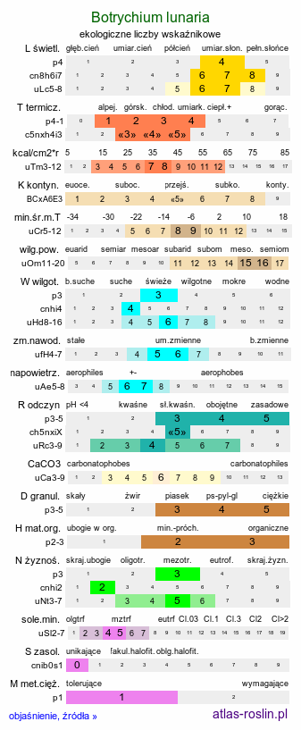 ekologiczne liczby wskaźnikowe Botrychium lunaria (podejźrzon księżycowy)