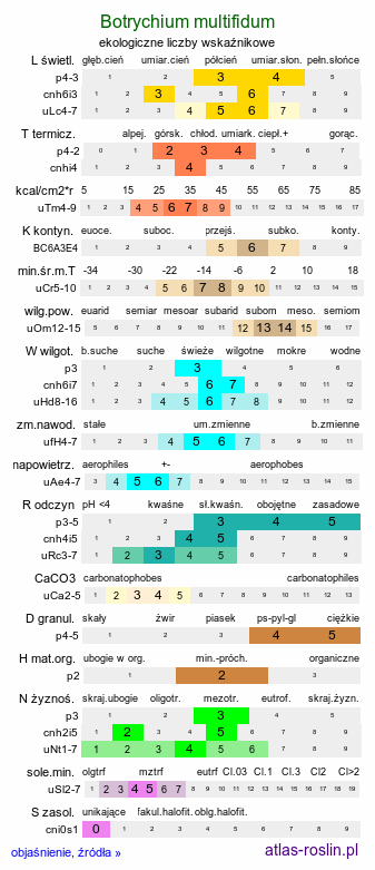 ekologiczne liczby wskaźnikowe Botrychium multifidum (podejźrzon rutolistny)