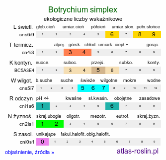 ekologiczne liczby wskaźnikowe Botrychium simplex (podejźrzon pojedynczy)