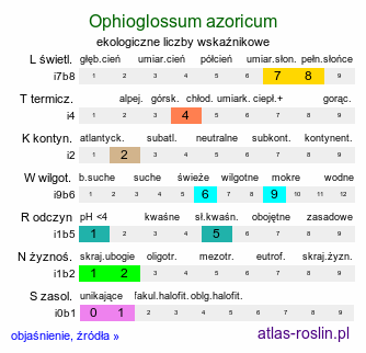 ekologiczne liczby wskaźnikowe Ophioglossum azoricum (nasięźrzał azorski)