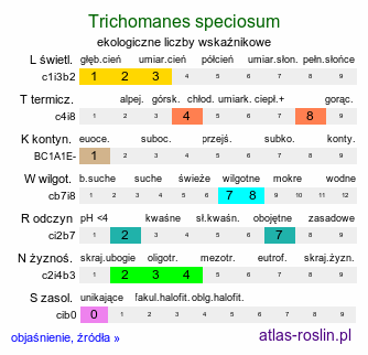 ekologiczne liczby wskaźnikowe Trichomanes speciosum (włosocień delikatny)