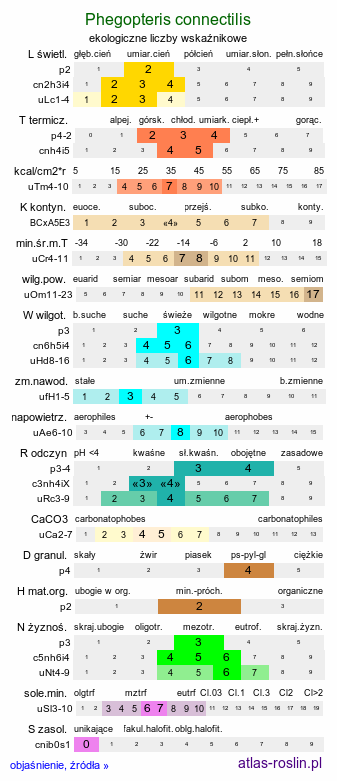 ekologiczne liczby wskaźnikowe Phegopteris connectilis (zachyłka oszczepowata)