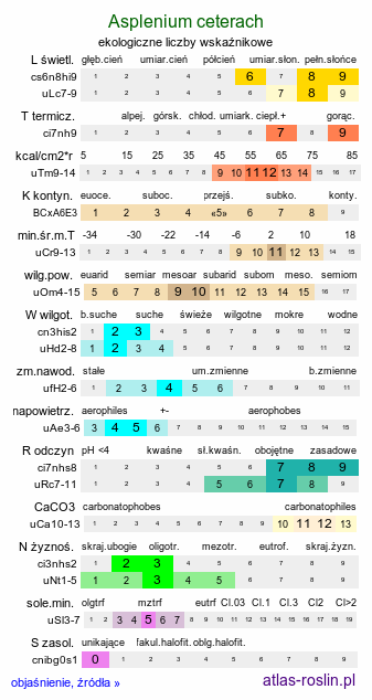 ekologiczne liczby wskaźnikowe Asplenium ceterach (zanokcica śledzionka)