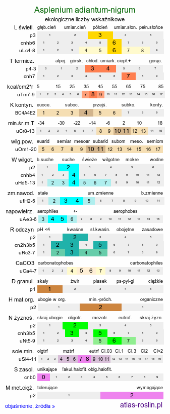 ekologiczne liczby wskaźnikowe Asplenium adiantum-nigrum (zanokcica ciemna)