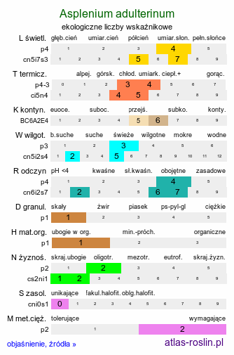 ekologiczne liczby wskaźnikowe Asplenium adulterinum (zanokcica serpentynowa)