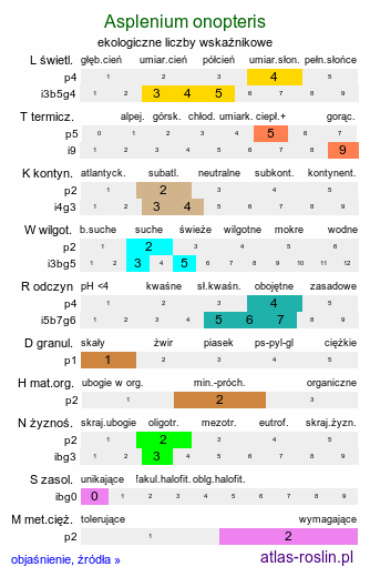 ekologiczne liczby wskaźnikowe Asplenium onopteris (zanokcica kończysta)