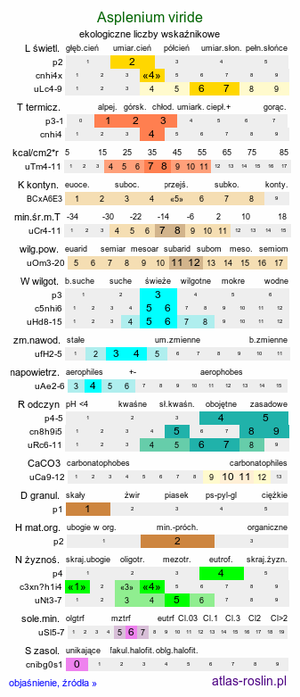 ekologiczne liczby wskaźnikowe Asplenium viride (zanokcica zielona)