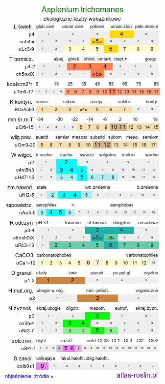 ekologiczne liczby wskaźnikowe Asplenium trichomanes (zanokcica skalna)