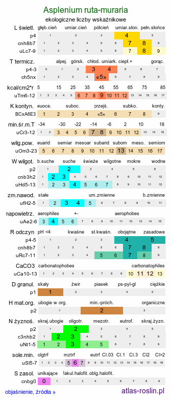 ekologiczne liczby wskaźnikowe Asplenium ruta-muraria (zanokcica murowa)