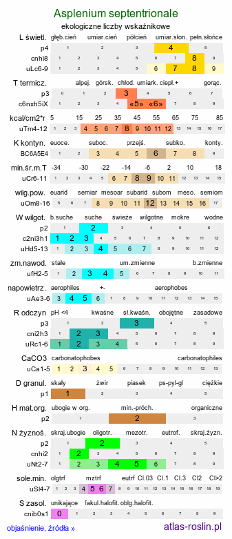 ekologiczne liczby wskaźnikowe Asplenium septentrionale (zanokcica północna)